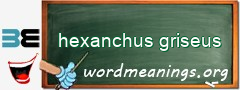 WordMeaning blackboard for hexanchus griseus